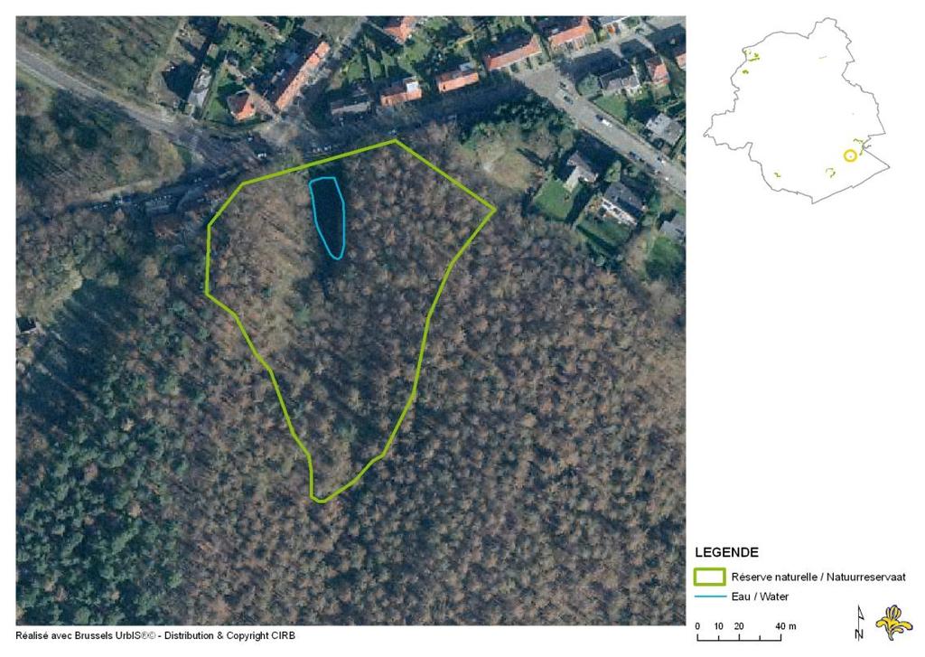 Poel nabij de Pinnebeekdreef Regionaal Natuurreservaat Besluit van de Brusselse Hoofdstedelijke Executieve van 27 april 1992 dat aan bepaalde delen van het Zoniënwoud, mat name de Vuylbeekvallei te