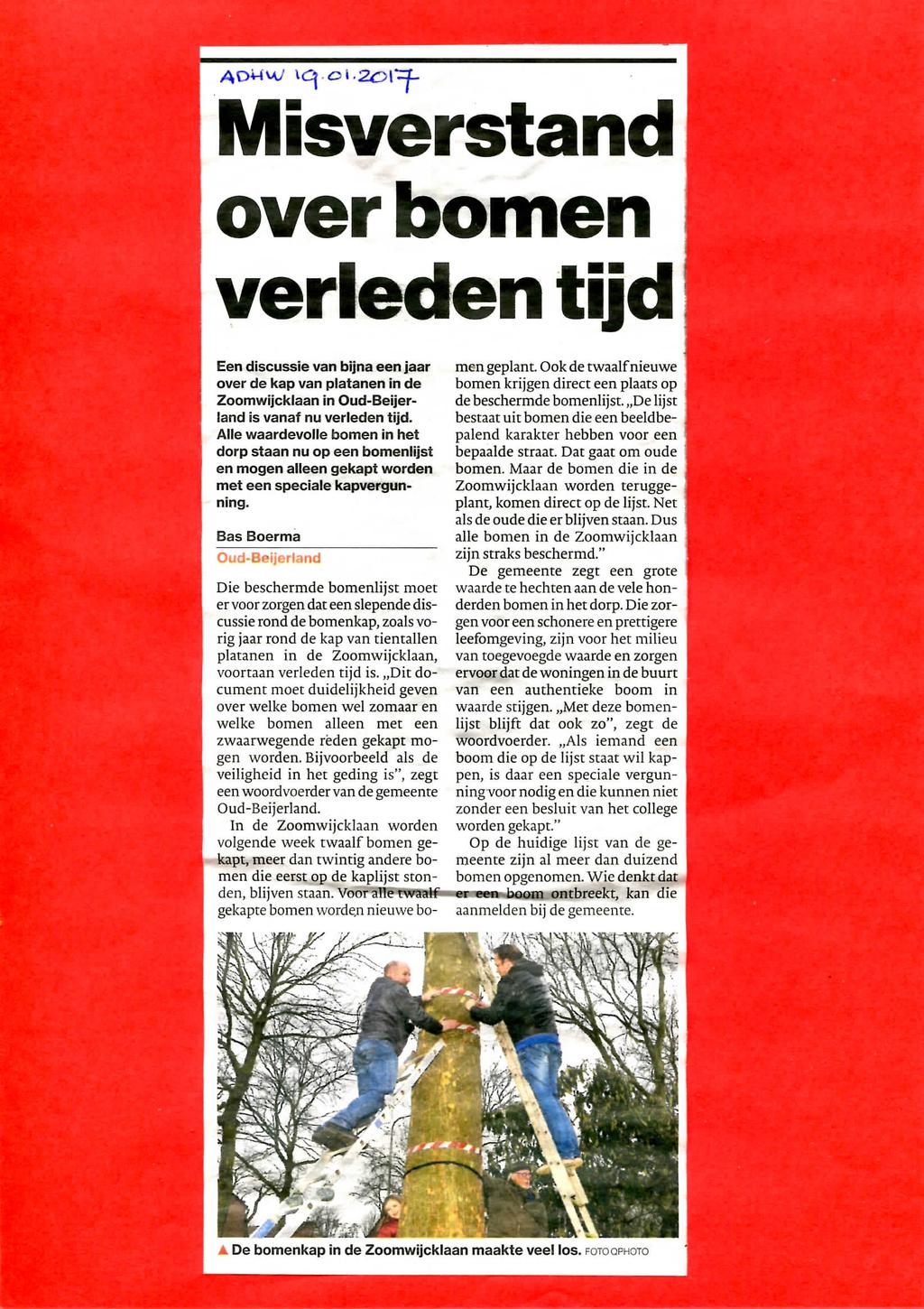 Misverstand over bomen verleden tijd Een discussie van bijna een jaar over de kap van platanen in de Zoomwijckfaan in Oud-Beijerland is vanaf nu verleden tijd.