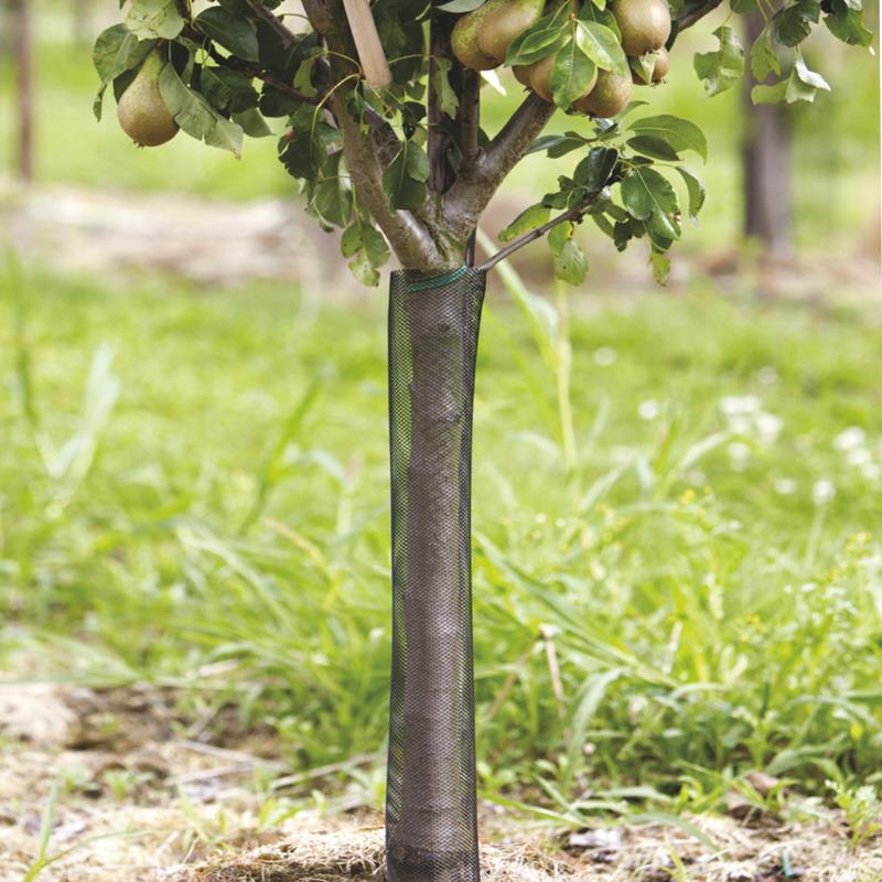 Flexguard boombeschermers Flexguard boombeschermers kunnen na het planten om de boom worden gedaan.