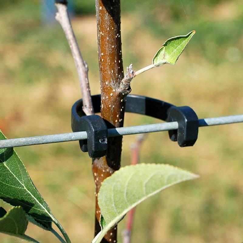 Rema clip Rema clip voor het vastzetten van planten aan draad. Verpakt per 500 stuks.