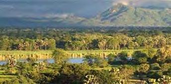 Liwonde National Park Het Liwonde National Park wordt met zijn diversiteit wel als mooiste wildlife park van Malawi