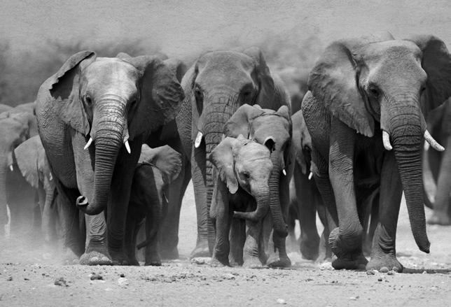 OUDER OF KIND? ALS ORGANISATIE DOE JE NIET ANDERS. JE SPREEKT AAN IN ANDEREN WAT JE ZELF BENT.