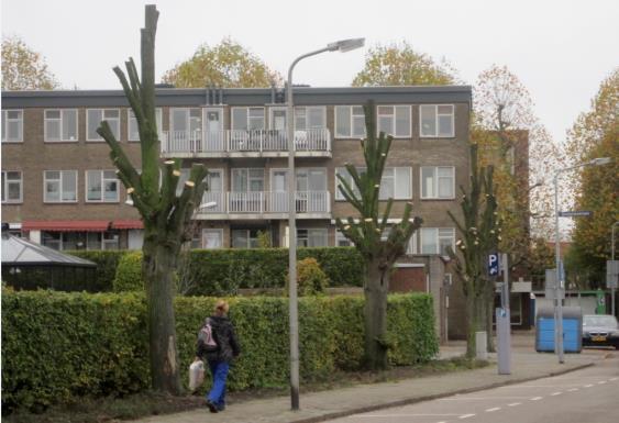 Nu zijn ze volledig gekandelaberd. We hebben opheldering gevraagd aan de gemeente. Een steekhoudend argument hebben we niet gehoord. 23.