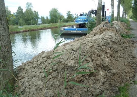 Deze bomen hebben geen beschermde status, maar worden door Rijkswaterstaat toch gecompenseerd. Helaas is het voorstel tot nieuwe aanplant langs het kanaal door Rijkswaterstaat afgewezen.