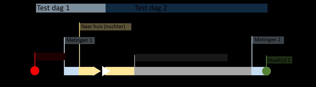 Figuur 1: Overzicht van de twee testdagen. Tx is tijd in uur (x) na het begin van de studie.