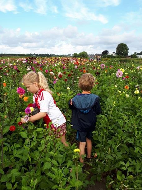 5. Met het spelmateriaal wordt omgegaan op een wijze die de ontwikkeling van de sociale competenties van een kind stimuleert.