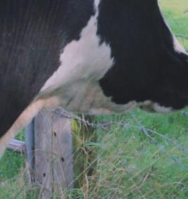 de overheidsgelden voor agrarisch natuur- en landschapsbeheer.