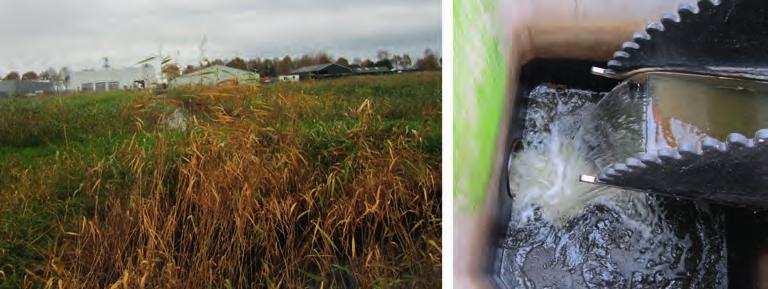 slootjes met een totale lengte van ruim 2.700 meter. De in de vloeivelden aanwezige bacteriën verwijderen vuilstoffen.