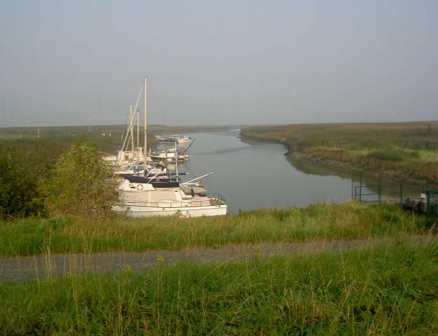 Het Nederlands deel van de Hedwige- en Prosperpolder wordt beheerd door het Waterschap Zeeuws-Vlaanderen.