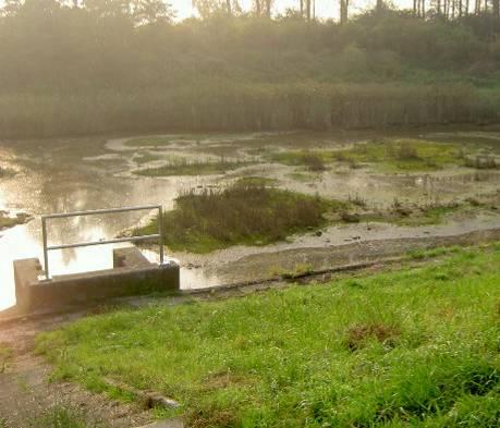 Hedwigepolder De Hedwigepolder is een autonome hydraulische entiteit, het ontvangt geen oppervlaktewater van andere poldervakken.