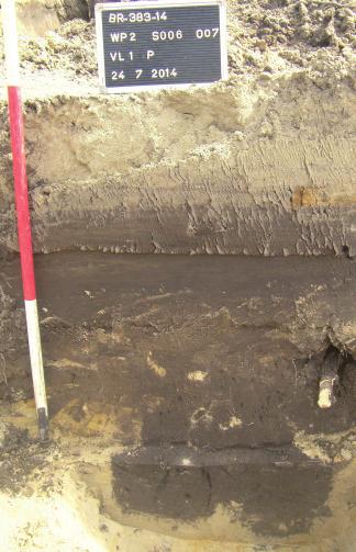 De paalsporen waren opgevuld met donker grijs bruin humeus zand met houtskoolspikkels. In de paalkuil S 007 is een fragment van een fayence bord gevonden.