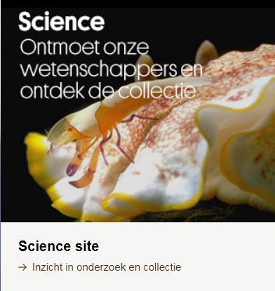 nl/en/research/biodi