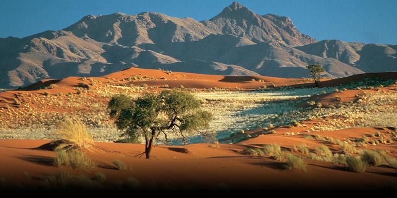 AMAZING NAMIBIË 15-daagse rondreis 31 oktober tot 14 november 2019 Bijna vol pension Namibië is een land met veel troeven - reizen door deze Afrikaanse topbestemming is een ware ontdekking.