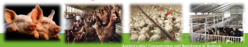 antibioticagebruik in veehouderijen Systemen voor gegevensverzameling beheerd door de autoriteiten SANITEL MED Nieuw
