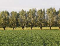 BEHEERSEISEN VOORTVLOEIEND UIT 18 VERORDENINGEN EN RICHTLIJNEN 9 heden en/of de gebruiksaanwijzingen worden nageleefd conform de bepalingen van het mestdecreet; buiten de waterwingebieden en de