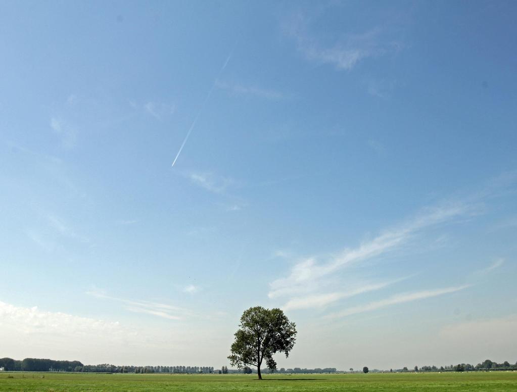 Genodigden: Groenservice Zuid-Holland Zuid-Hollands Landschap Gebiedsplatform Landschapsbeheer Zuid-Holland Staatsbosbeheer Waterschap Rivierenland Bedrijfsleven Agrarische ondernemers