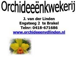 ORCHIDEEËN WUBBEN Groot assortiment Orchideeën en Tillandsia's Botanische orchideeën, de meeste uit zaad gekweekt; en hybriden Oppotmaterialen Diverse soorten meststoffen Gewasbeschermingsmiddelen in