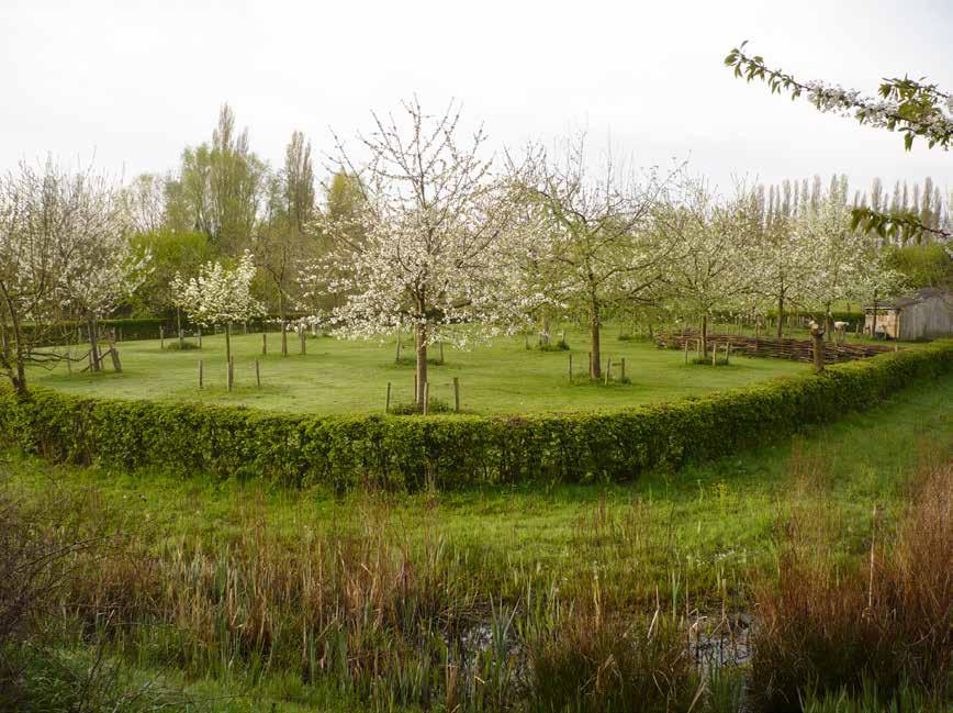 Groene Long te Kuurne Eerste natuurrijk park in Vlaanderen De Groene Long is een natuurrijk park van ongeveer 7 ha in de gemeente Kuurne (West-Vlaanderen) en situeert zich te midden van het sterk