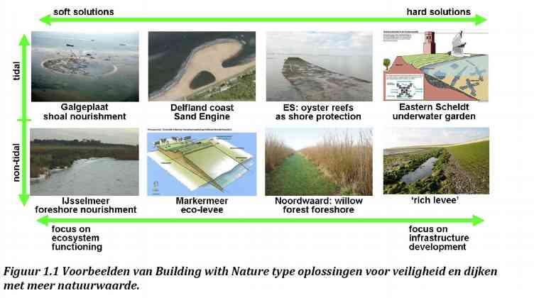 Stand van zaken 2011: veiliger door BWN!? Perspectief Natuurlijke Keringen; Eerste verkenning potentie BWN ten behoeve van Deltaprogramma (Ecoshape consortium).