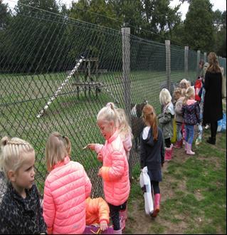 Uit de groepen: groepen 1 en 2 naar Panbos Donderdag 4 oktober zijn de groepen 1 en 2 naar het Panbos geweest om te kijken hoe een bos er in de herfst uitziet.