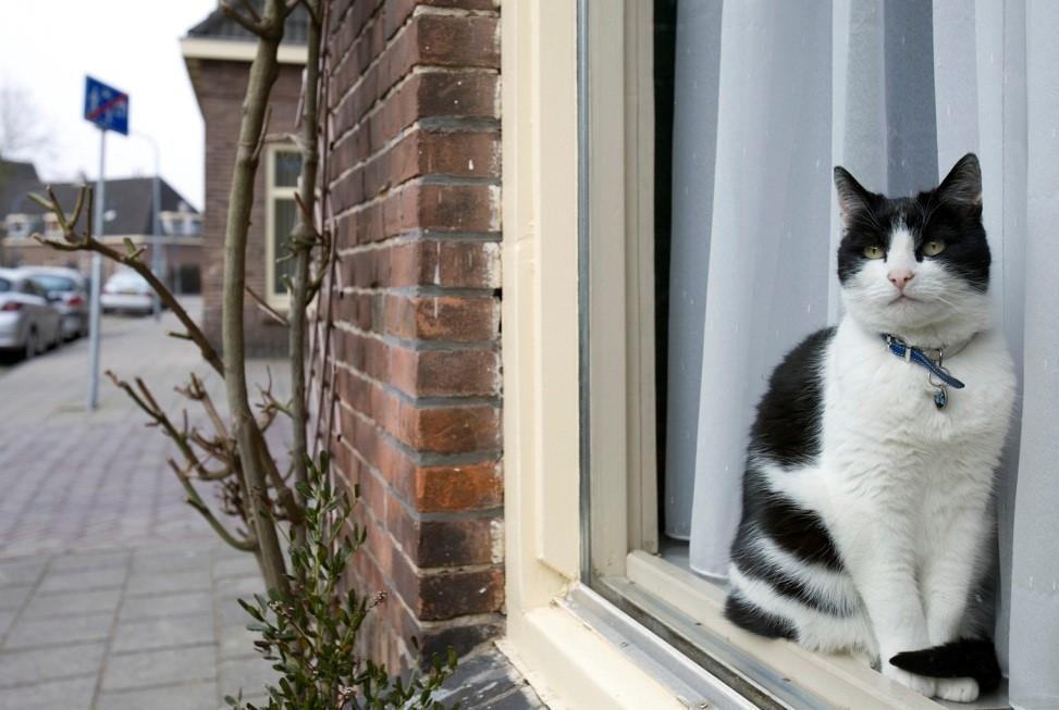 6.5 Leefbaarheid Ymere spant zich -samen met betrokken partijen- in om de leefbaarheid te behouden. Lege woningen in het project worden tijdelijk verhuurd. Op deze manier voorkomen we leegstand.