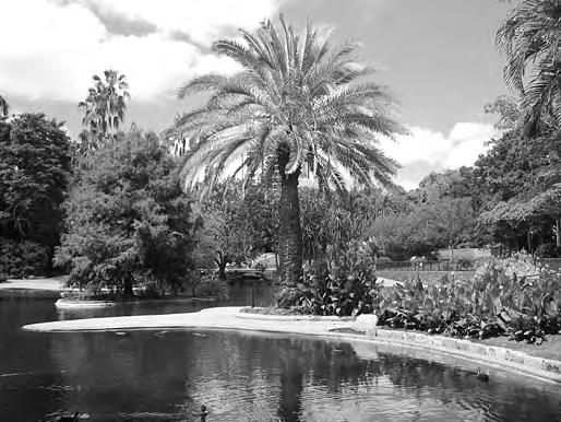 Tekst 16 1p 38 Alejandro en Elvira willen op zondagmiddag de botanische tuin "Viera y Clavijo" (Gran Canaria) bezoeken. Mogen ze hun hond meenemen?