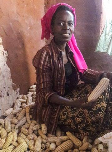 Zo vertelt onze Tanzaniaanse collega Stella. Agnes vertelde haar: Ook al heb ik nog zoveel geleerd, het is geen makkelijk jaar geweest. Het is droog, té droog voor een fatsoenlijke oogst.