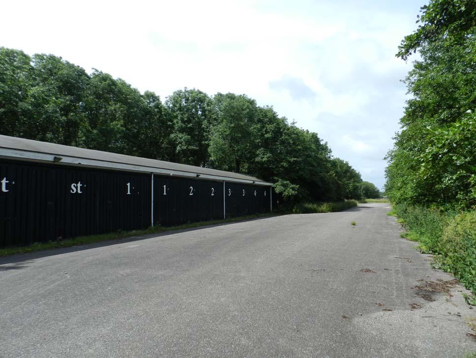 MAG-terrein te Egmond Laatvlieger Tijdens het onderzoek werden slechts enkele foeragerende Laatvliegers waargenomen.