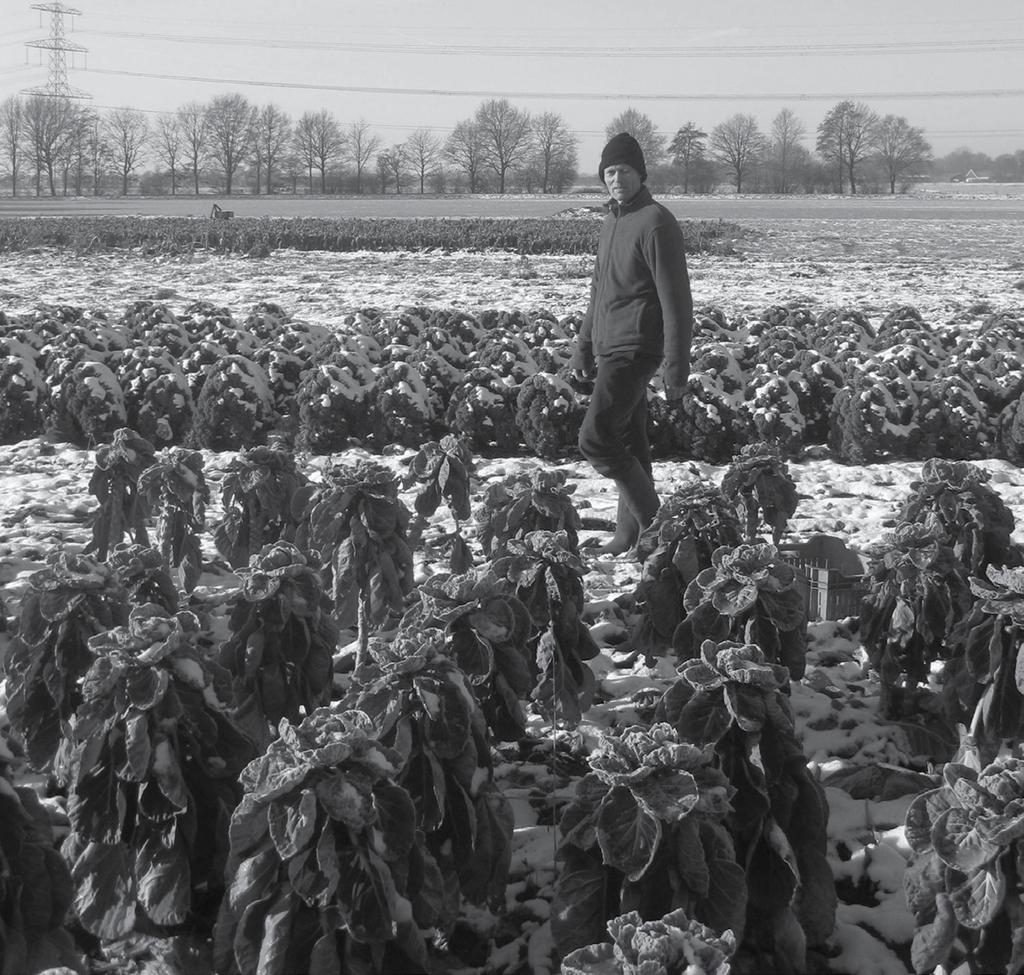 D Y N A M I S C H Tuinbouwbedrijf t Leeuweriksveld P O R T R E T Het is me al snel duidelijk: een bedrijfsportret over