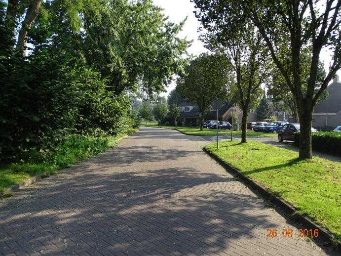 Qua verkeersveiligheid zouden de geparkeerde auto s langs een deel van de Berkelwijk mogelijk tot problemen kunnen leiden, echter deze geparkeerde auto s zorgen er ook voor dat de snelheid van het