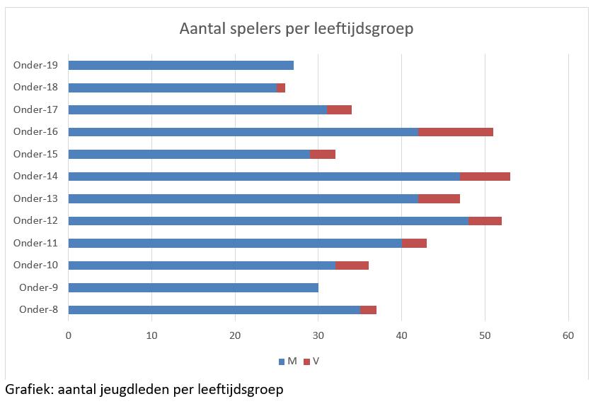 Jeugd: aandacht voor