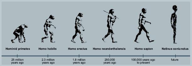 HOMO HABILIS De eerste rechtop lopende mens / De handige mens C O N S E Q U