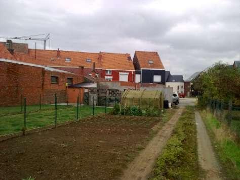 Zicht op de woningen langsheen de Mieregemstraat vanuit het plangebied.