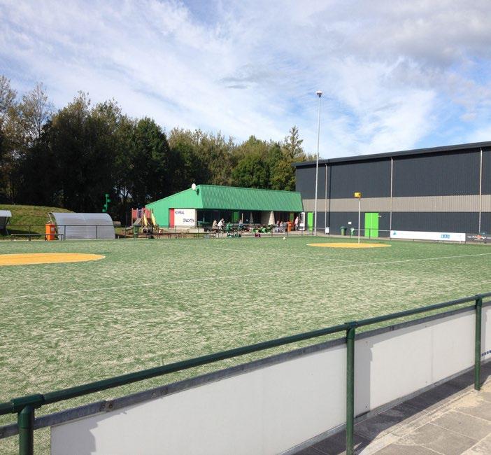 25 teams spelen wekelijks in de verenigingskleuren groen en zwart en vertegenwoorigen de vereniging in regionale- en landelijke korfbalcompetitie.