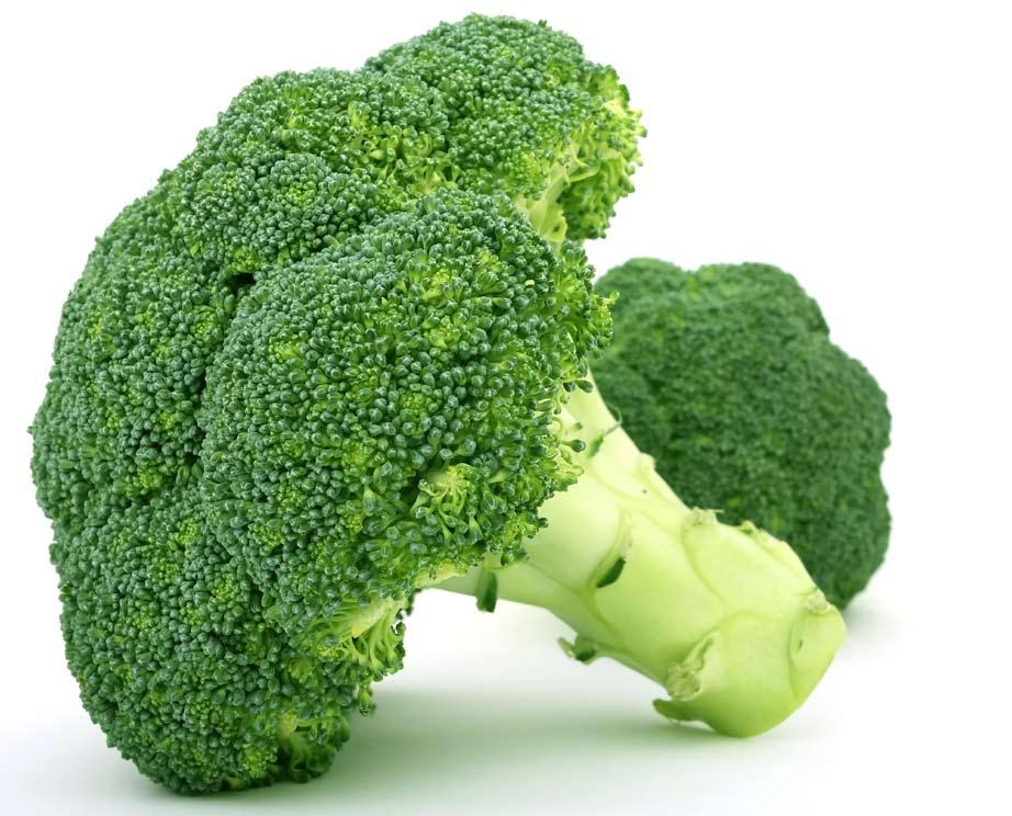 Koken met ONZE buddies! Broccoli-gehaktschotel of hoe je Roger eindelijk broccoli doet eten!