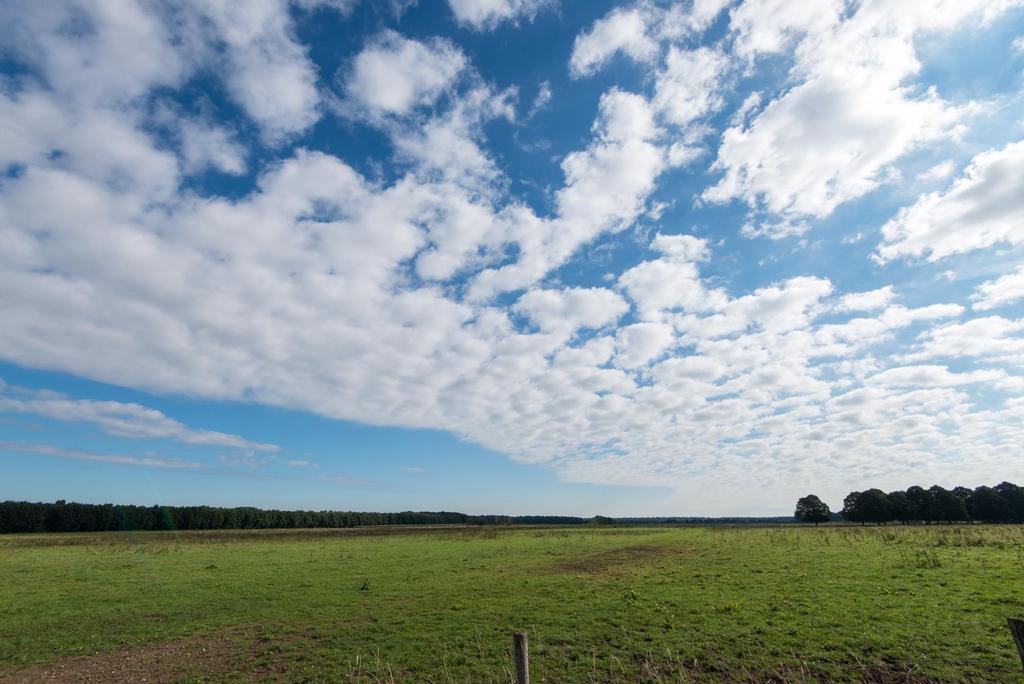 Vogels van het Wolfsplateau Het belang van