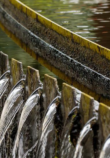 Dus moeten we het ook weer schoon teruggeven. Gelukkig zitten er in het water van de beek en sloot bacteriën. Gelukkig? Jazeker, want deze bacteriën vinden het vuil lekker en eten het graag op.