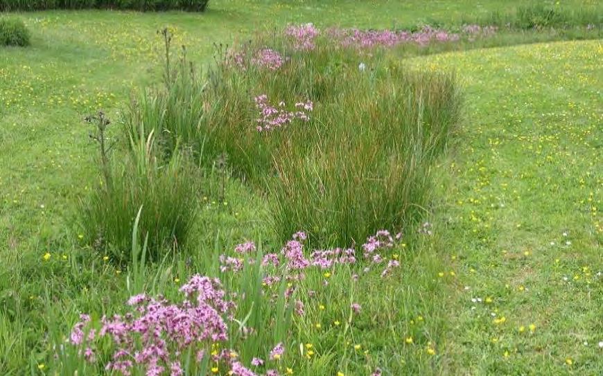 en helpen om veerkracht op te bouwen. Afbeelding rechtsonder: Wadi met vaste beplanting in de Botanische tuinen Uithof.