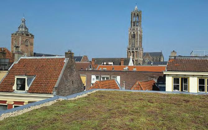 Afbeelding: Groen dak op de Springweg Binnenstad. (Foto Douwe Bosga) De aanleg van groene daken draagt bij aan het beperken van de wateroverlast en aan de vermindering van de opwarming in de woning.