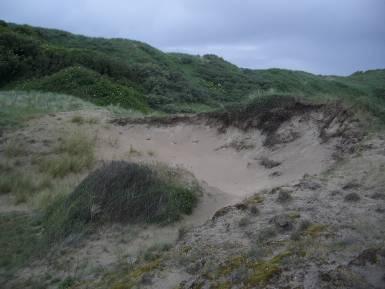 Verder vallen de grillige vormen van de duinen rondom het dorp op. Door de vele betreding kon er geen ongestoorde paraboolduinvorming optreden, maar ontstond een windkuilenlandschap.
