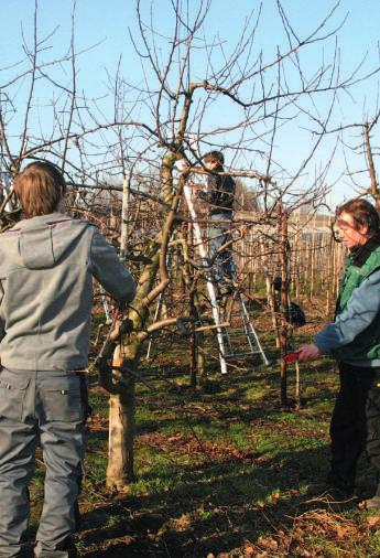 EERSTE GRAAD Info en foto s 2BVL Eerste graad Studie-aanbod INFO BEROEPSVOORBEREIDEND LEERJAAR (2B) Land- en tuinbouw Deze studierichting is bedoeld voor jongeren die moeilijkheden hebben met