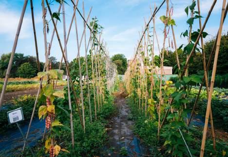 Tweede en derde graad: beroepssecundair onderwijs (bso) Beroepssecundair onderwijs (bso) Plant, dier en milieu Optie dierenzorg Optie tuinbouw Dierenzorg Tuinbouw en groenvoorziening (Algemeen of