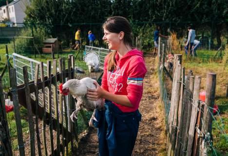 In Horteco kan je in de 2 de graad een praktijkgerichte, gespecialiseerde opleiding Plant, dier en milieu volgen met als optie Dierenzorg of Tuinbouw en groenvoorziening.