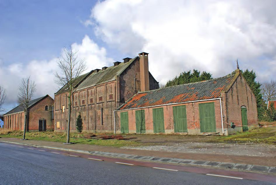 Afb. 7 Cichoreidrogerij Ceres uit 1905. In Ouddorp waren vijf van dergelijke fabrieken, waarin de wortels van de cichoreiplant werden gewassen, gesneden en gedroogd.