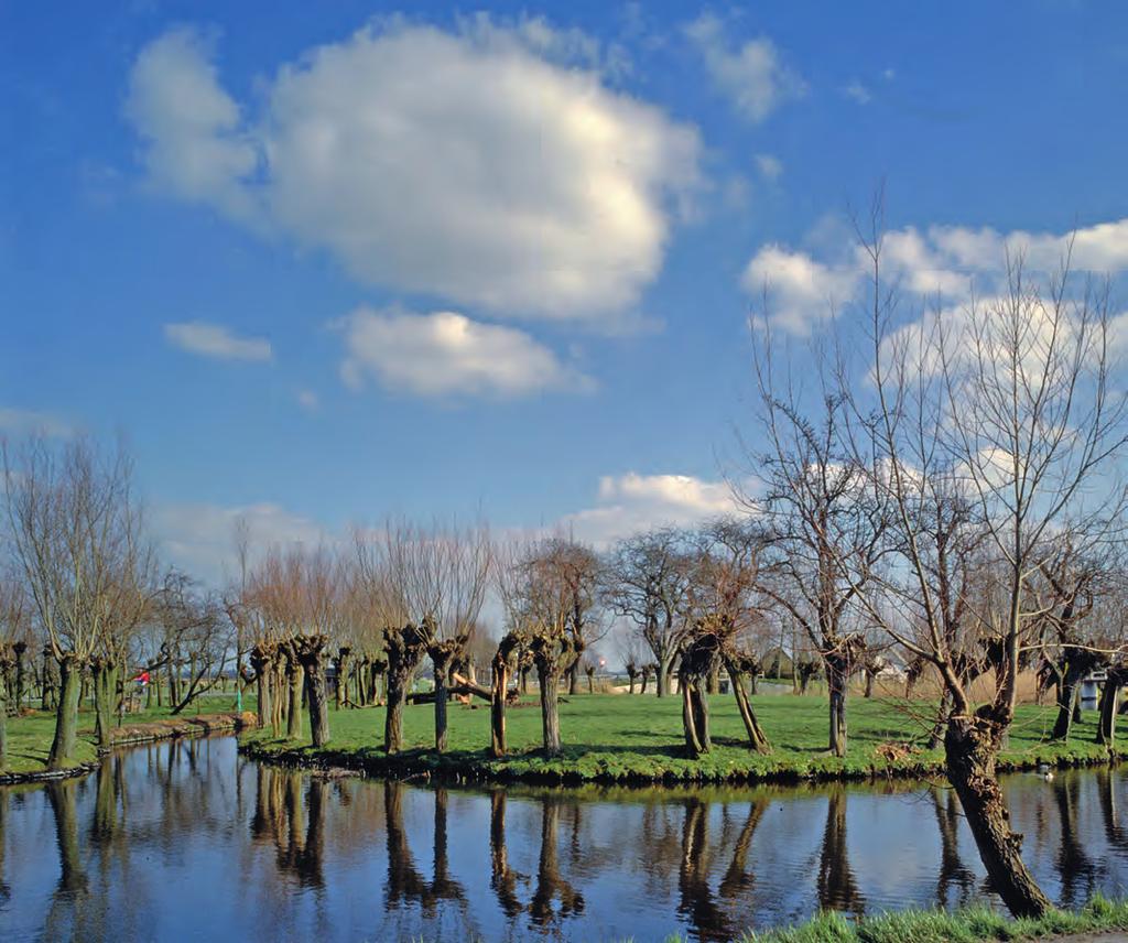 De Koeneschans aan de Vlist, vóór de aankoop door het Zuid-Hollands Landschap. Foto: Erfgoedhuis.