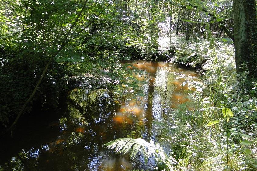 uit? Reusel 4 km uit elkaar Zelfde