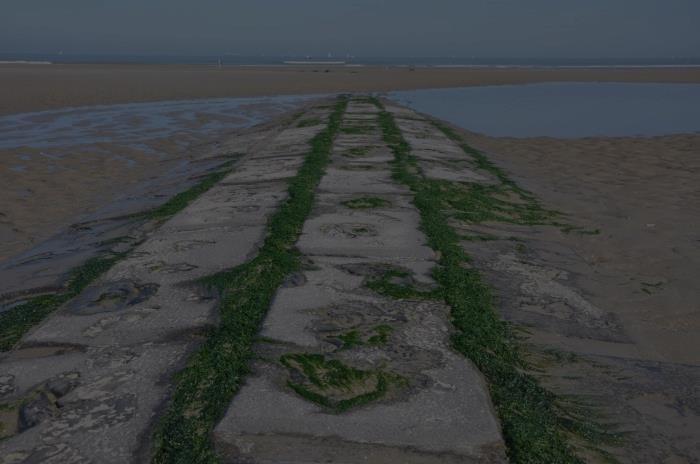 8. Constructies op het strand Strandhoofden, staketsels, kunnen gevaarlijk glad zijn door algen en