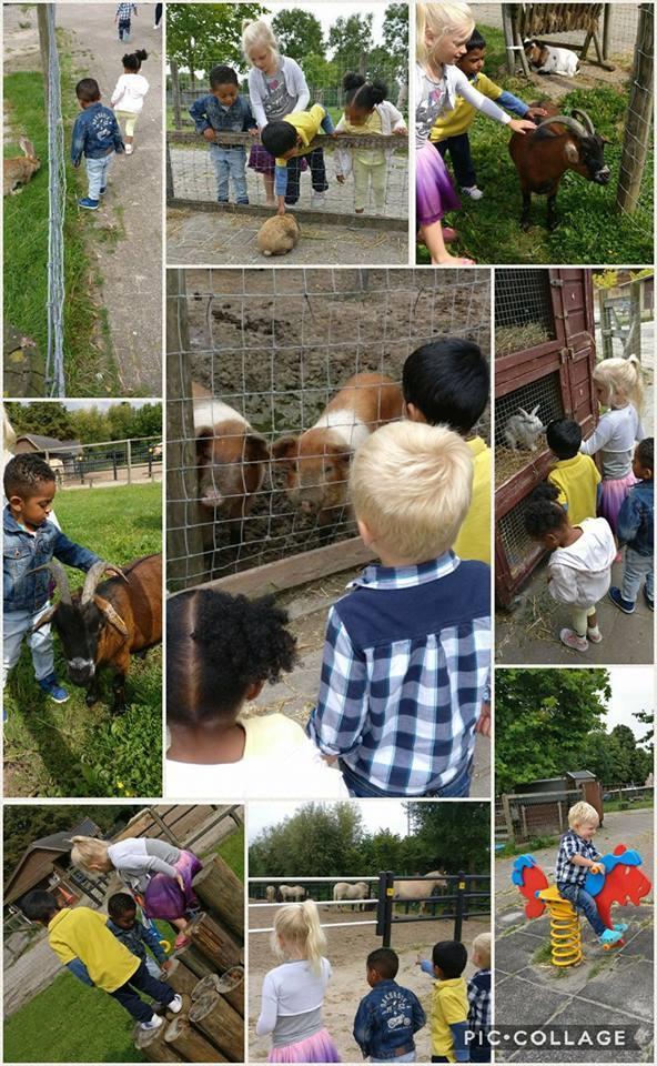 Zo gaan wij wekelijks naar de kinderboerderij, bezoeken we het speeltuintje bij ons om de hoek en gaan we picknicken in het Beatrixpark.