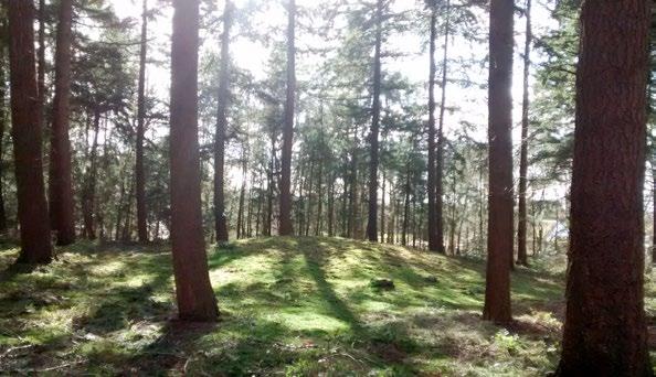 12. ARCHEOLOGISCHE MONUMENTEN Een archeologisch monument is een beschermde plaats in het landschap die waardevol is vanwege de aanwezige sporen uit het verleden.