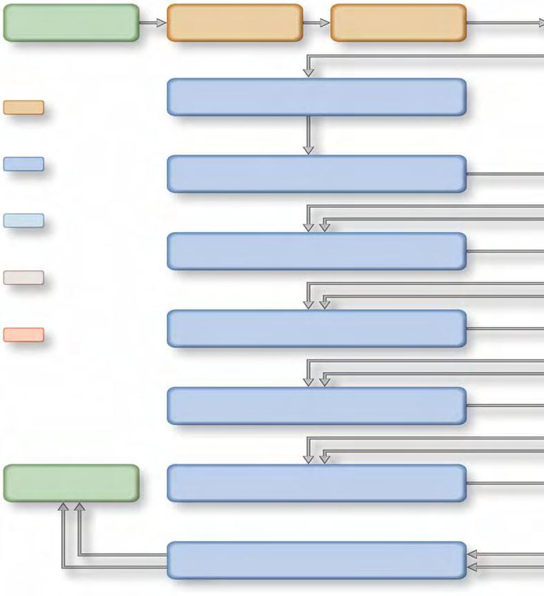 Werkvolgorde Schematisch overzicht van het uitlijnen (aan de hand van de Golf 2009) Start Wagen selecteren Ordergegevens aanmaken Wagenhoogte bepalen Voorbereiding uitlijnen Beginuitlijning Meting